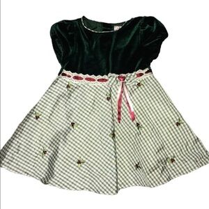 Youngland 18 months green velvet embroidered dress holly GUC